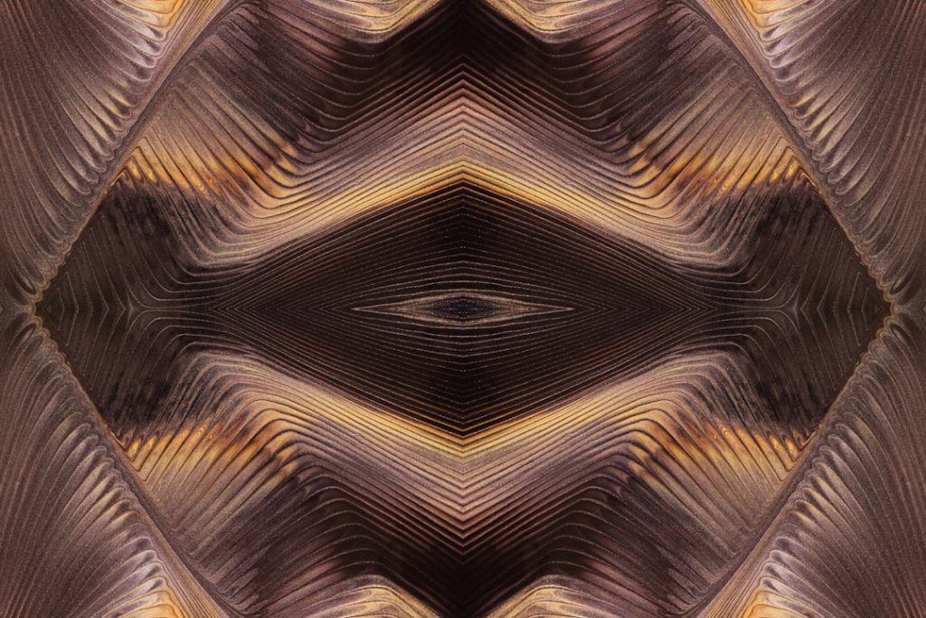 découvrez comment l'auto-hypnose peut vous aider à améliorer votre bien-être, à réduire le stress et à atteindre vos objectifs personnels grâce à des techniques simples et efficaces.