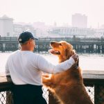 man standing near Golden Labrador retriever viewing bridge and high-rise buildings